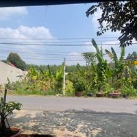 🔥 Bán gấp đất đẹp củ chi – 1.480m² có 300m² thổ cư