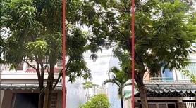 Lô đất trục 7m5 lề 4m5 hồ sĩ tân lên số nhà 30 sạch đẹp ko cống trụ ! - Ảnh 2