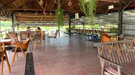 chính chủ cần bán gấp quán cafe sổ hồng hỗ trợ vay, đường tỉnh lộ 9, cầu nhỏ kế Hóc Môn  - Ảnh 2
