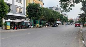 Bán đất mặt phố Trâu Quỳ - Gia Lâm - Dòng Tiền - Ảnh 2