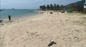 Bán đất TDC Bãi Bàng, thôn Tây, phường Đông Ninh Hoà (Ninh Vân cũ) - Ảnh 2