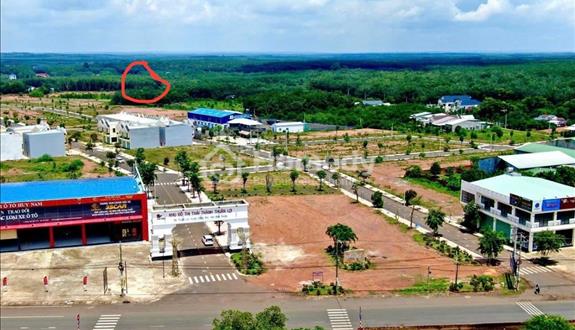 Đất Bình Phước mặt tiền đường xã sát khu dân cư lớn đang khảo sát xây khu công nghiệp - Ảnh 1