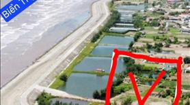 Đất nền ven biển Thịnh Long - Nam Định giá tốt - Ảnh 3