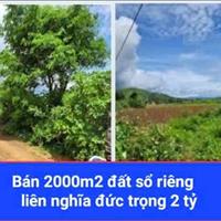 bán 2000 m2 đất nông nghiệp thị trấn liên nghĩa đức trọng lâm đồng 2 tỷ sổ riêng đường ô tô