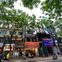 Siêu phẩm mặt phố Phan Kế Bính – trung tâm Ba Đình, 80m²*4 tầng, mt 4,8m. Sổ Vuông.