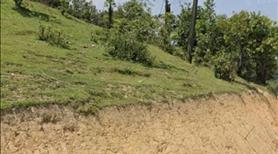 Bán 1603m2 đất măng đen kon tum 4 tỷ cách đức mẹ măng đen khoảng 5km view đẹp  - Ảnh 3