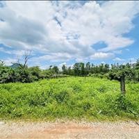 Bán 1008m2 đất ont tân nghĩa - hàm tân chính chủ giá rẻ gần trung tâm