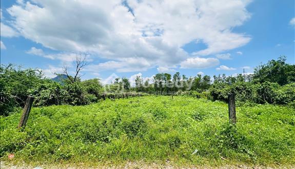 Bán 1008m2 đất ont tân nghĩa - hàm tân chính chủ giá rẻ gần trung tâm - Ảnh 1