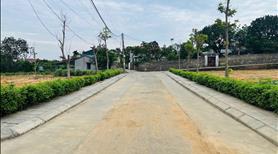 Chính chủ đi nước ngoài cần bán gấp lô đất ở Phường Mạo Khê Quảng Ninh, giá chỉ 9 triệu/1m2, SHR - Ảnh 4