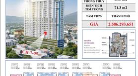 Căn hộ Mia 2PN ngay trung tâm Liên Chiểu giá RẺ NHẤT thị trường - Ảnh 3