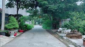 Cần tiền bán gấp lô đất KDC13E Làng việt kiều, Bình Chành,TP.HCM - Ảnh 7