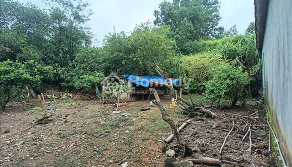 Bán đất thị trấn Đà Bắc, DT931m2, MT27m, 9 tỷ Hòa Bình - Ảnh 1