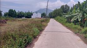 Bán đất khu đấu giá TDP Phước Đa 1 – P. Ninh Hòa, (Ninh Đa cũ), có bớt lộc - Ảnh 4