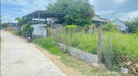 Đất dân giá rẽ Ninh Phụng Ninh Hoà gần ngay trung tâm  - Ảnh 2