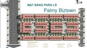 Palmy Biztown – Sở hữu Shophouse vị trí vàng chỉ từ 70tr/m²! - Ảnh 4