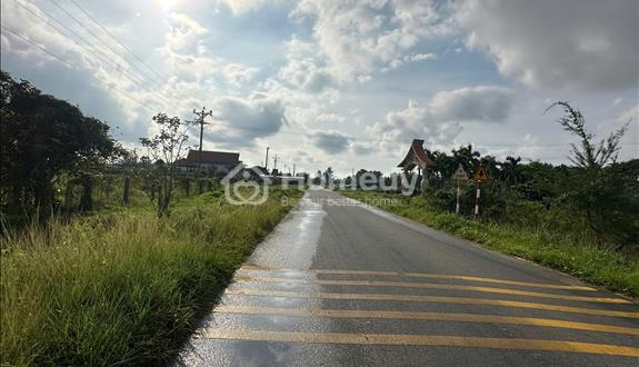 Bán Đất 20x53(951m2) Sẵn 200m2 Thổ Cư Hùng Vương Tân Tiến LaGi Giá Rẻ - Ảnh 1