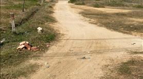 Cần bán đất nông nghiệp giá rẻ.gần tp phan rang-tháp chàm.ninh thuan - Ảnh 3