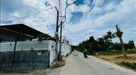 VN167 Bán đất mặt tiền đường Liên Hoa Vĩnh Ngọc Tây Nha Trang - Ảnh 4