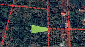 Cần bán nhanh lô đất đẹp 744m² có sẵn 100m² thổ cư. - Ảnh 2