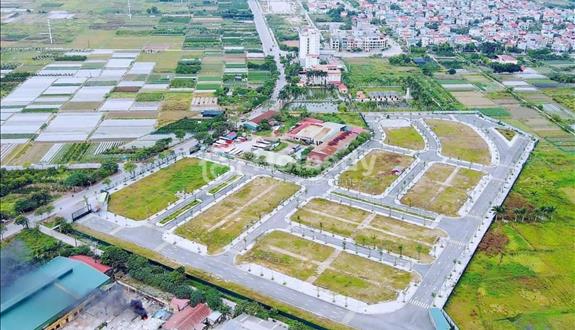Bán 180m đất biệt thự Tái định cư Đông Nam Cổ Dương - Lô 3 mặt tiền - Mặt đường đôi 23m - Ảnh 1