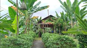 Bán mảnh đất nhà vườn ven Nha Trang giá rẽ - Ảnh 8