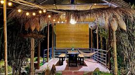 Bán mảnh đất nhà vườn ven Nha Trang giá rẽ - Ảnh 2
