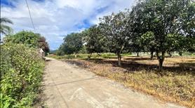 Đất Suối Tiên ven Nha Trang giá rẽ - Ảnh 3