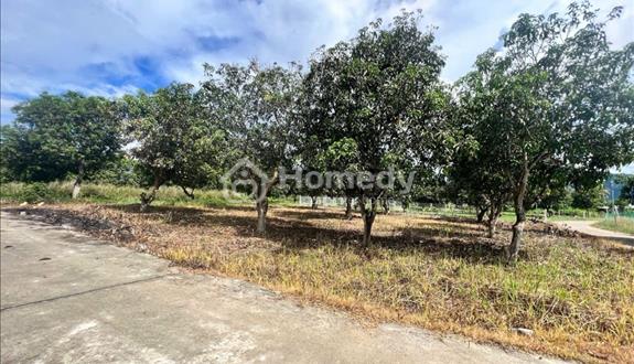 Đất Suối Tiên ven Nha Trang giá rẽ - Ảnh 1