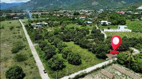 Đất Suối Tiên ven Nha Trang giá rẽ - Ảnh 4