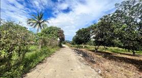Đất Suối Tiên ven Nha Trang giá rẽ - Ảnh 2
