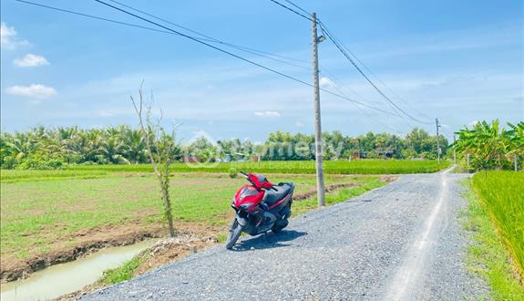 Ban đất thổ cư _dt 300m2 đường liên ấp Long Khê - Phước Vân, Cần Đước Long An, SHR - giá 4,3 tr/m2 - Ảnh 1