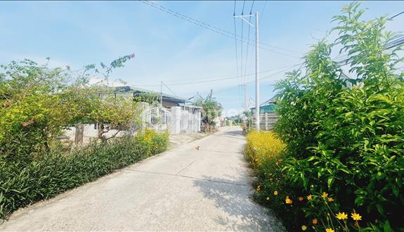 Bán 5m x 36m đất thổ cư đường trần quốc toản, phước lộc, lagi chỉ 950 triệu - Ảnh 1