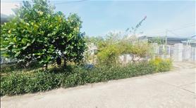 Bán 5m x 36m đất thổ cư đường trần quốc toản, phước lộc, lagi chỉ 950 triệu - Ảnh 2