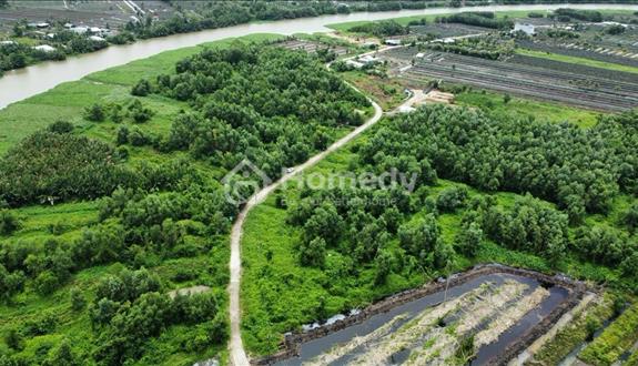Bán 80 công đất ruộng giá rẻ chỉ 175 triệu côta - Ảnh 1
