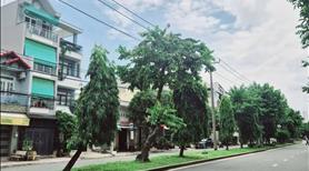 Bán lô đất mặt tiền đường số 14 ngay Đỗ Xuân Hợp, 1000.3m2, sổ nở hậu, khu biệt thự Quận 9 - 75 tỷ - Ảnh 6