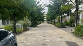 Nhà phố 3 tầng - khu Dahlia 𝐄cogaden TP Hu𝐄̂́ - Ảnh 3