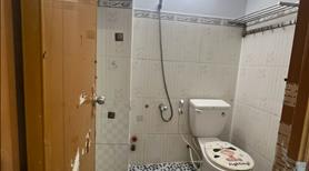 Cho thuê nhà nguyên căn hẻm Phan Anh gần ngã tư bốn xã - Lê Văn Quới - Hoà bình Tân Hoà Đông - Ảnh 10