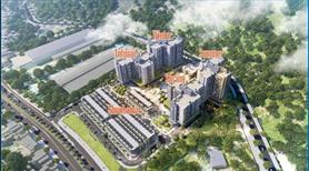 Đầu tư và sở hữu nhà liền kề Quy Nhơn, tiền năng cao: vừa ở vừa kinh doanh sinh lời x2 ngay - Ảnh 6