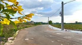 Bán Đất Nền Phước Bình, Long Thành - Sổ Hồng Riêng, Giá Tốt 2,39 tỷ/100m2 - Ảnh 2