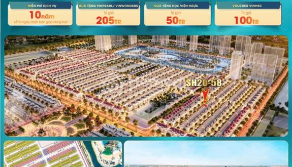Bán biệt thự liền kề khu Vinhomes Ocean Park - Ảnh 1