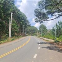 NGỘP! Bán GẤP đất mặt đường TL79 đường rộng 20m view đồi thông, view hồ KĐT Vạn Xuân Đà Lạt
