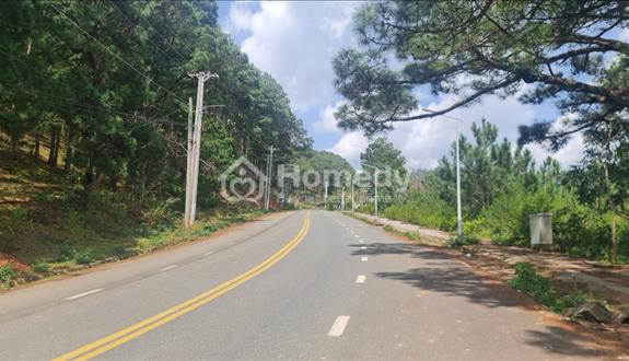 NGỘP! Bán GẤP đất mặt đường TL79 đường rộng 20m view đồi thông, view hồ KĐT Vạn Xuân Đà Lạt - Ảnh 1