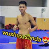 lê hữu mạnh