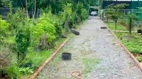 Đất nông nghiệp 3000m2 tại Đông Anh giá 3,XX tỷ - Ảnh 5