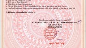 Bán 150m đường Tạo Lực, mặt tiền đường D7, kcn bầu bàng. - Ảnh 7