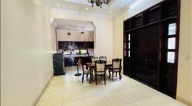 Bán biệt thự 493m² trung tâm dĩ an,gần phạm văn đồng,đẳng cấp châu âu - Ảnh 3