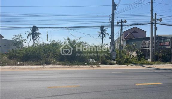 Giảm sốc! chỉ 450 triệu/m ngang đất thổ cư 10m x 45m đường nguyễn chí thanh, lagi - Ảnh 1