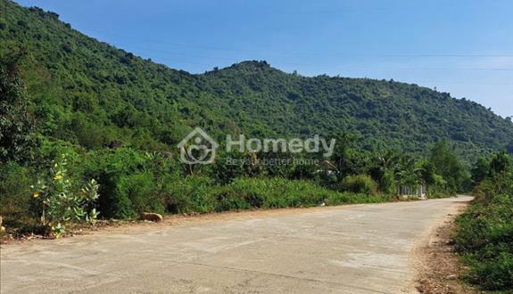 Bán đất Tân Phú, xã Nam Ninh Hoà, Khánh Hoà, đường bê tông 2 ô tô né nhau QH 20m - Ảnh 1