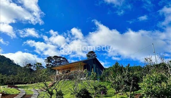 Hạ Giá Để Bán Giải Quyết Công Việc Từ 6 Tỷ Nay Còn 5 Tỷ 5250m2 đất ngay trung tâm xã ĐạSar - Ảnh 1