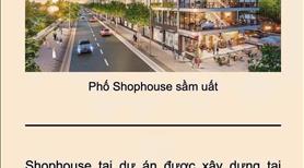 Chính thức nhận booking Vinhome Làng Vân - ĐN - biệt thự đảo, biển sở hữu lâu dài, giá CĐT - Ảnh 4